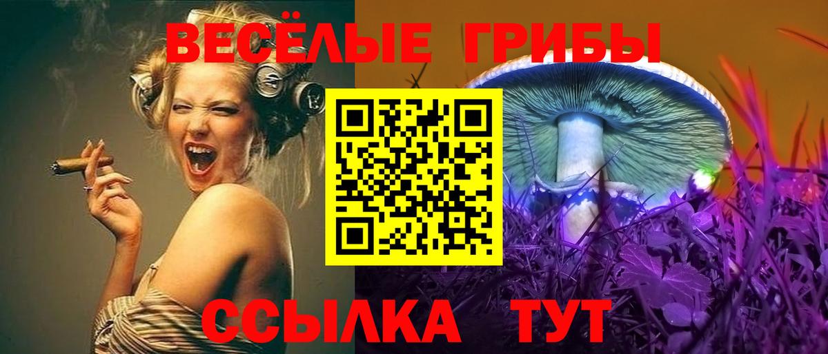Галлюциногенные грибы мухоморы Конаково