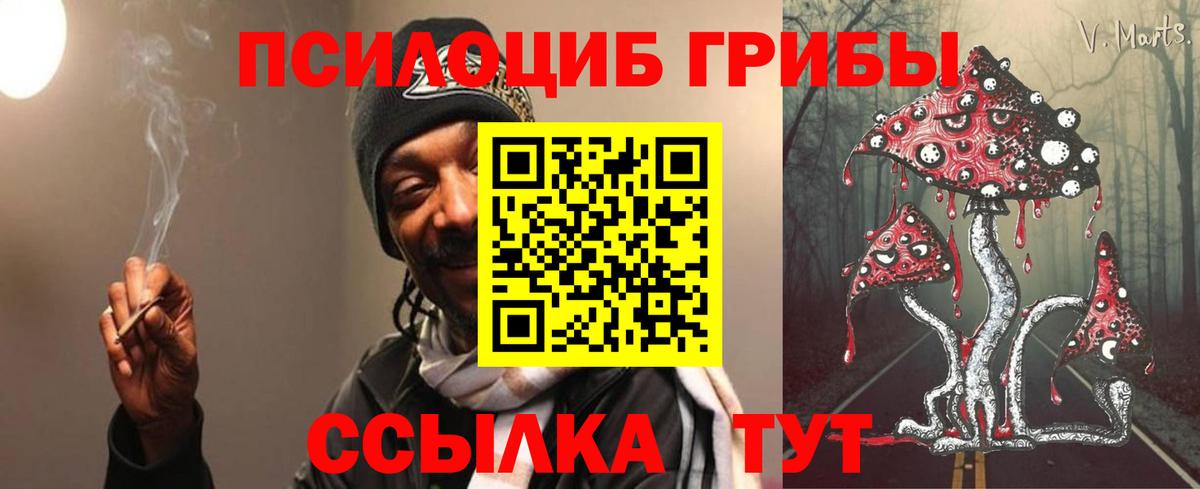 Конаково  Галлюциногенные грибы Cubensis  Вход с VPN  Галлюциногенные грибы прущие грибы 
